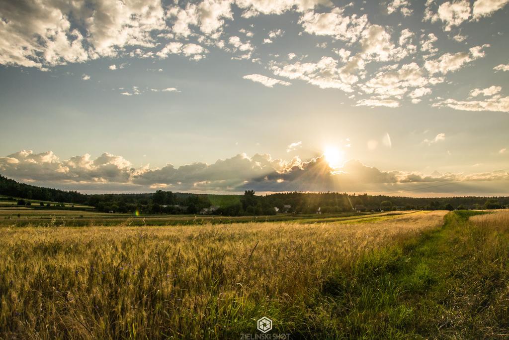 Agroturystyka Szumynowiny Majdan Sopocki Bagian luar foto